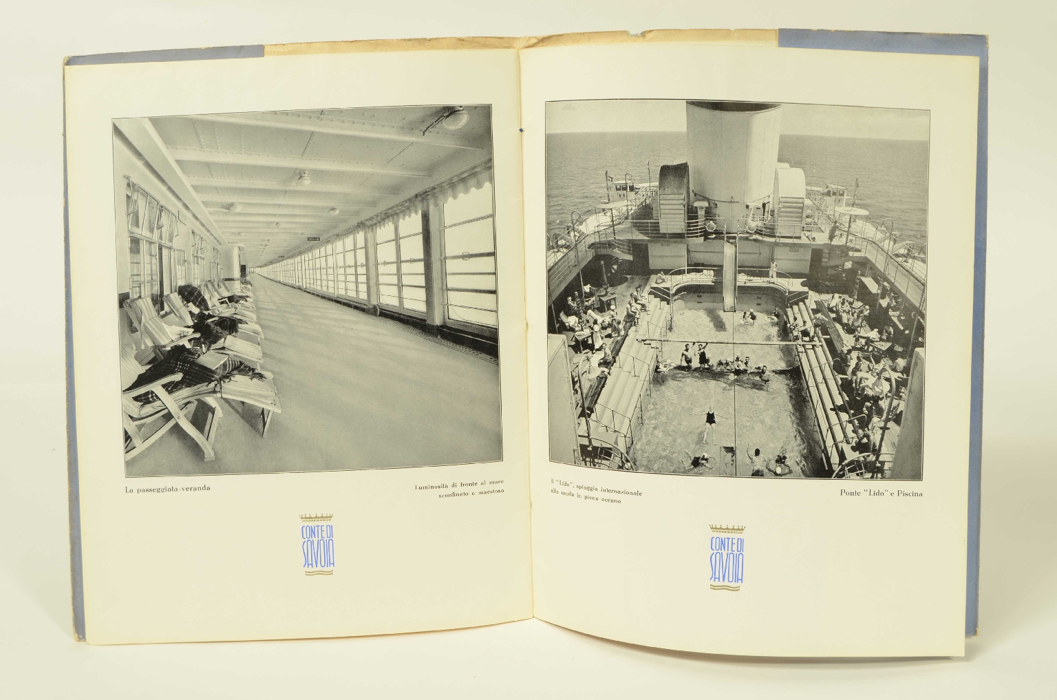 SS REX/R556-Brochure