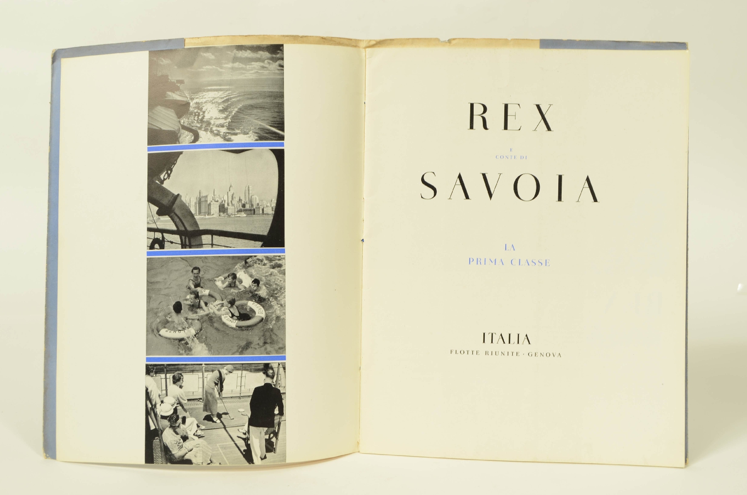 SS REX/R556-Brochure