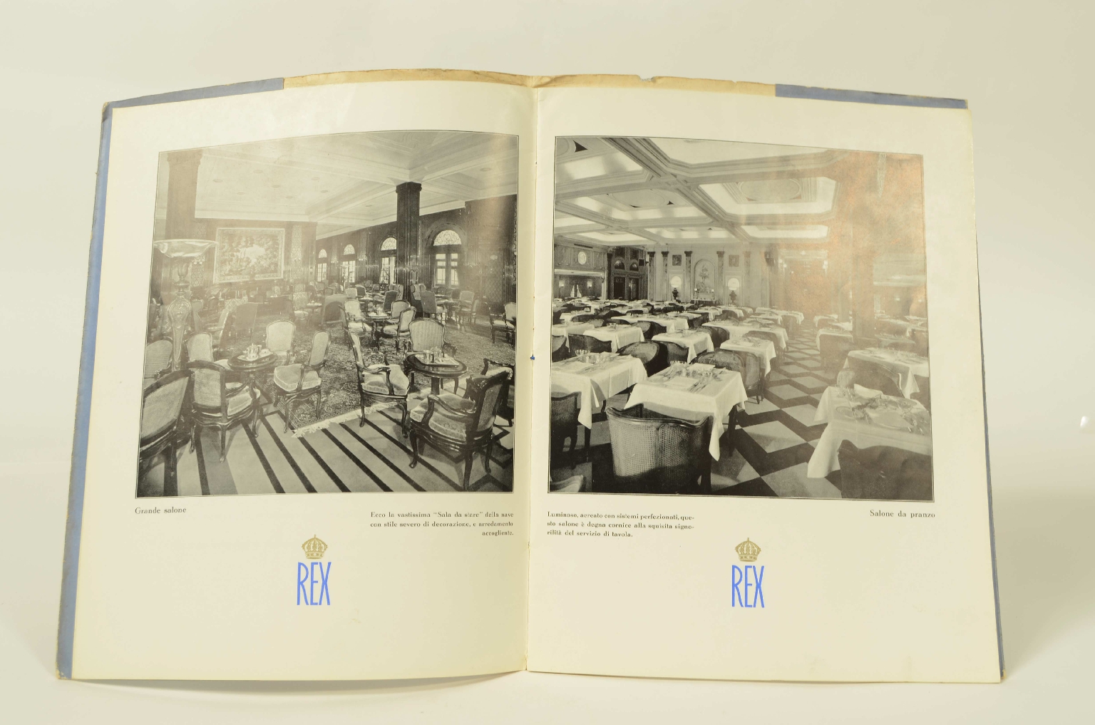 SS REX/R556-Brochure