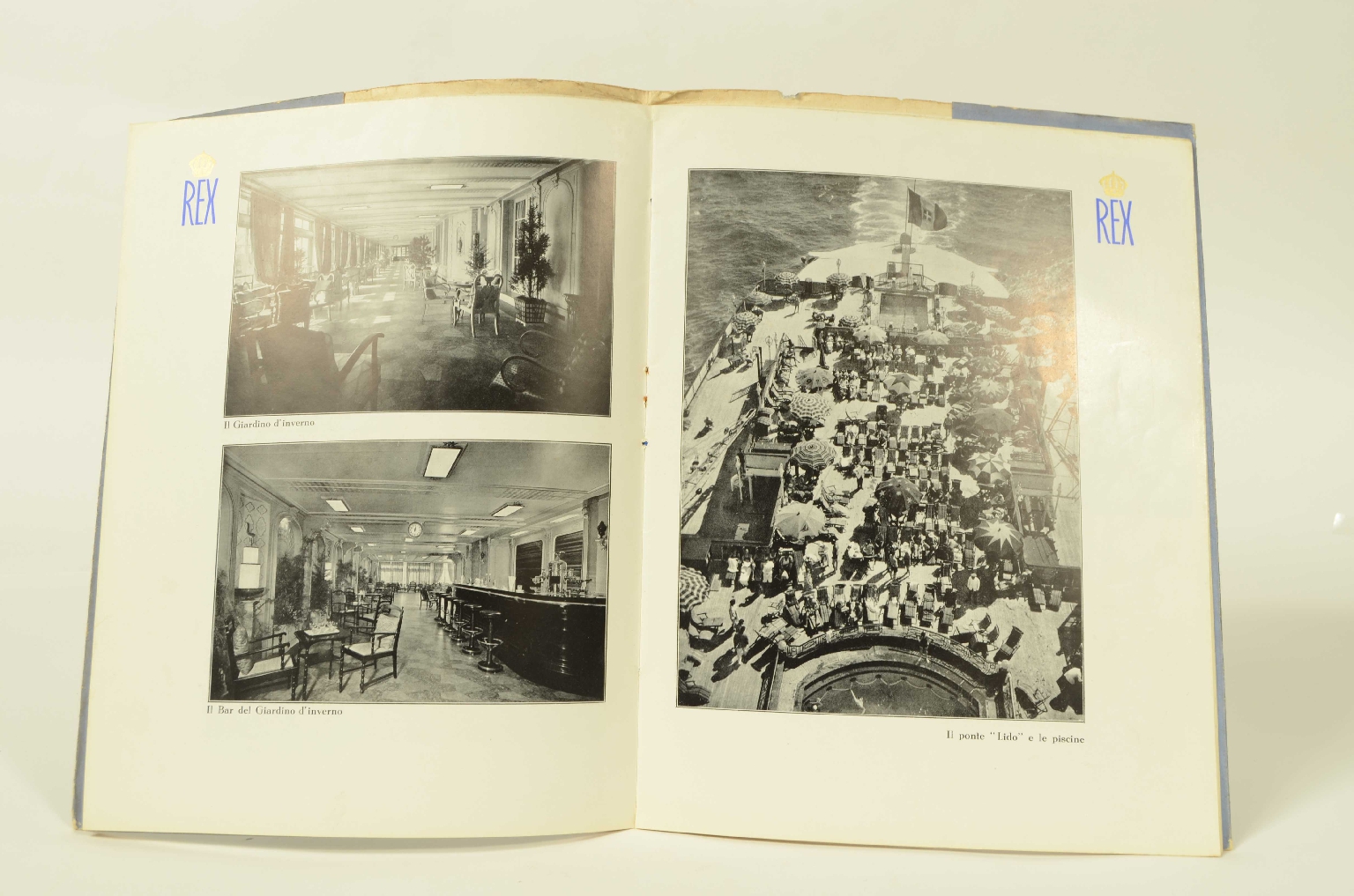 SS REX/R556-Brochure