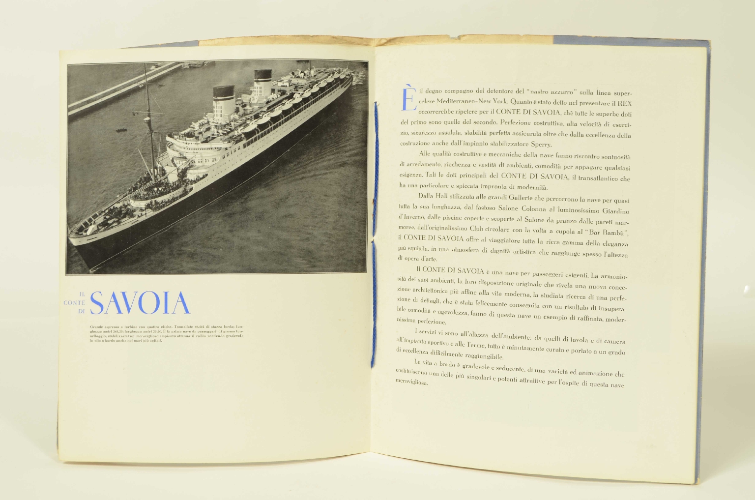 SS REX/R556-Brochure