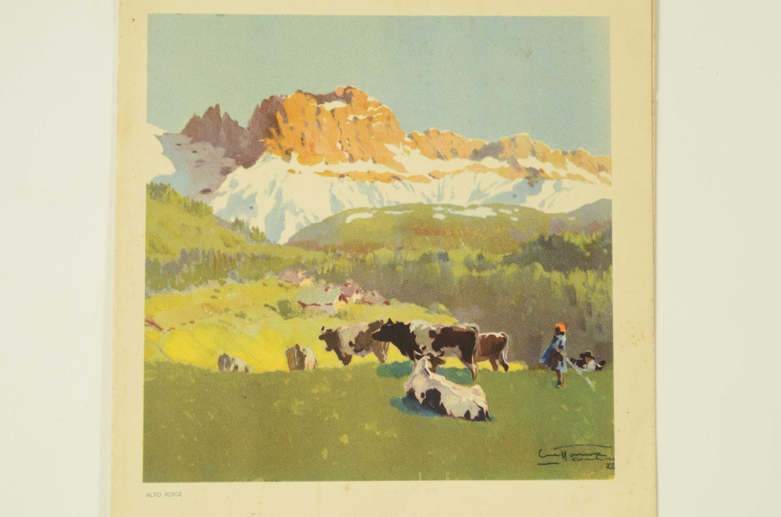 SS REX/R579-REX Menu