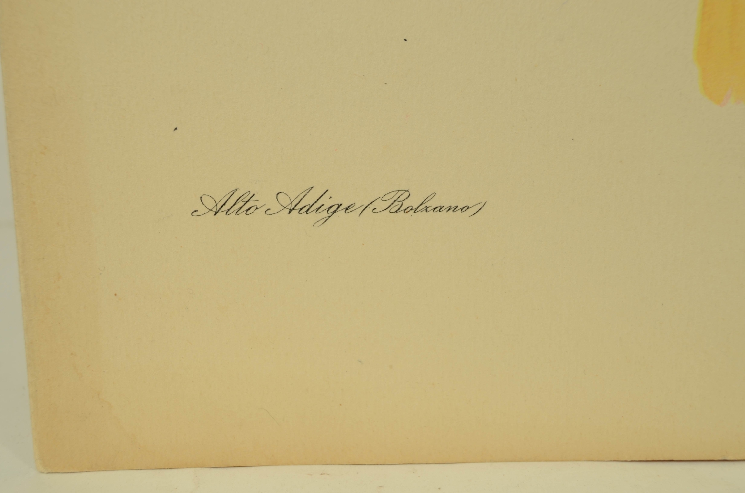 SS REX/R596-First-Class Menu