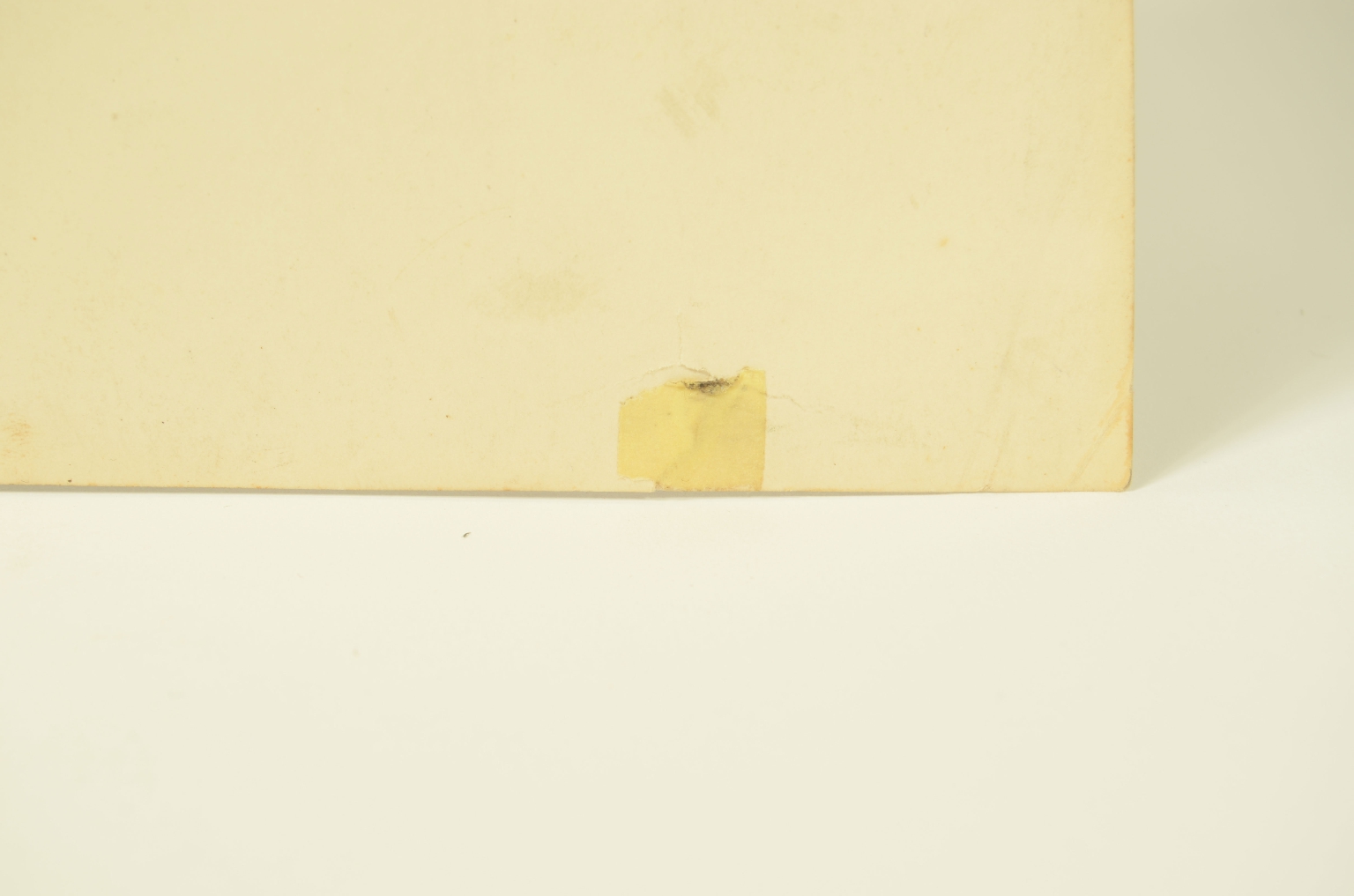 SS REX/R609-Foto Winter Garden