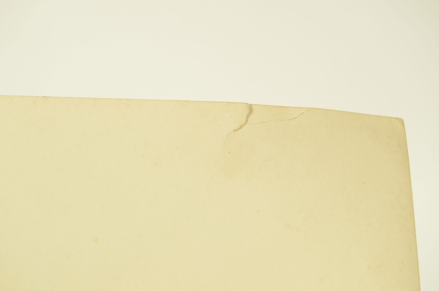 SS REX/R609-Foto Winter Garden