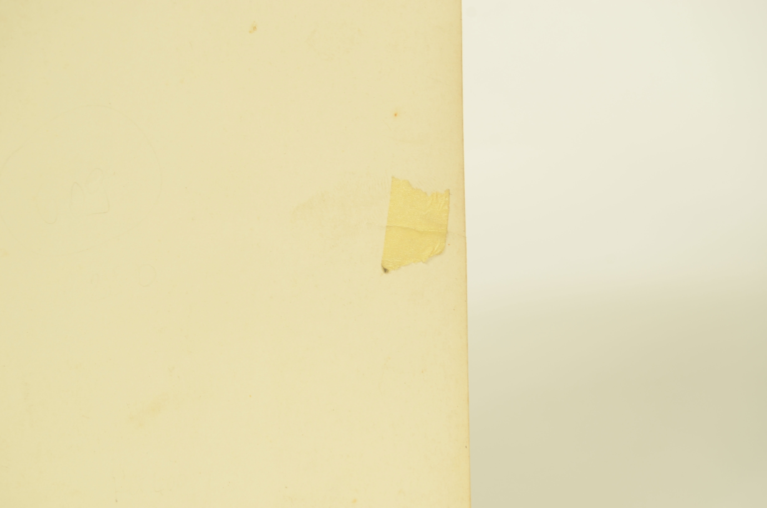 SS REX/R609-Foto Winter Garden