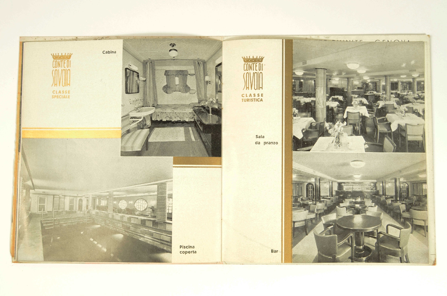 SS REX/R831-Brochure