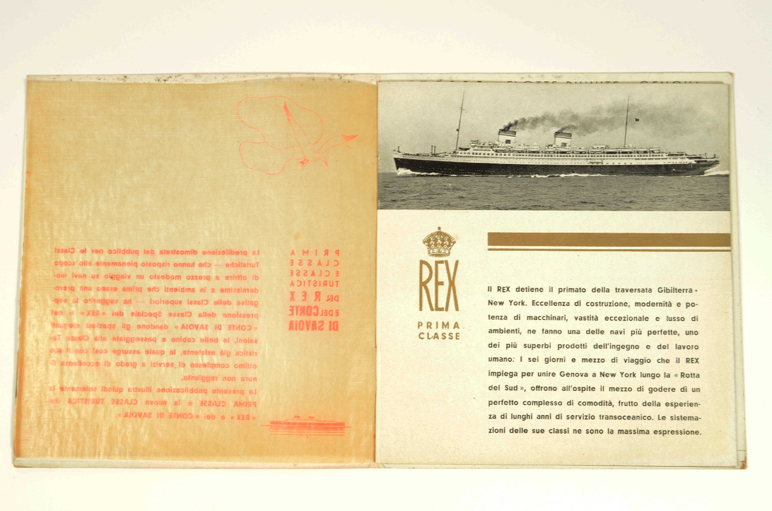 SS REX/R831-Brochure