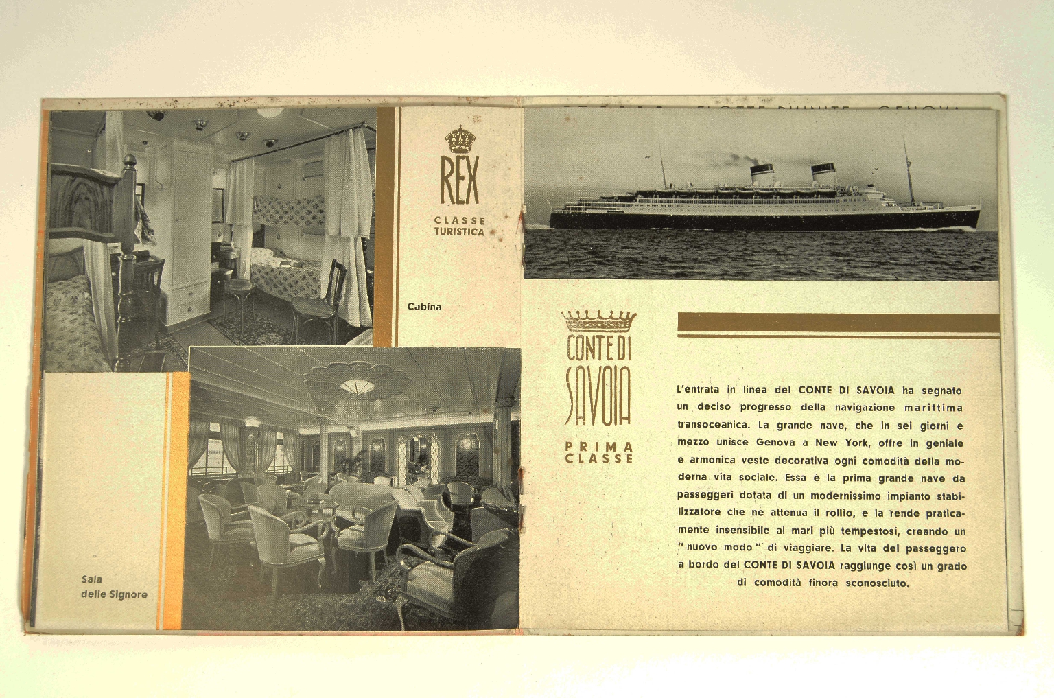 SS REX/R831-Brochure