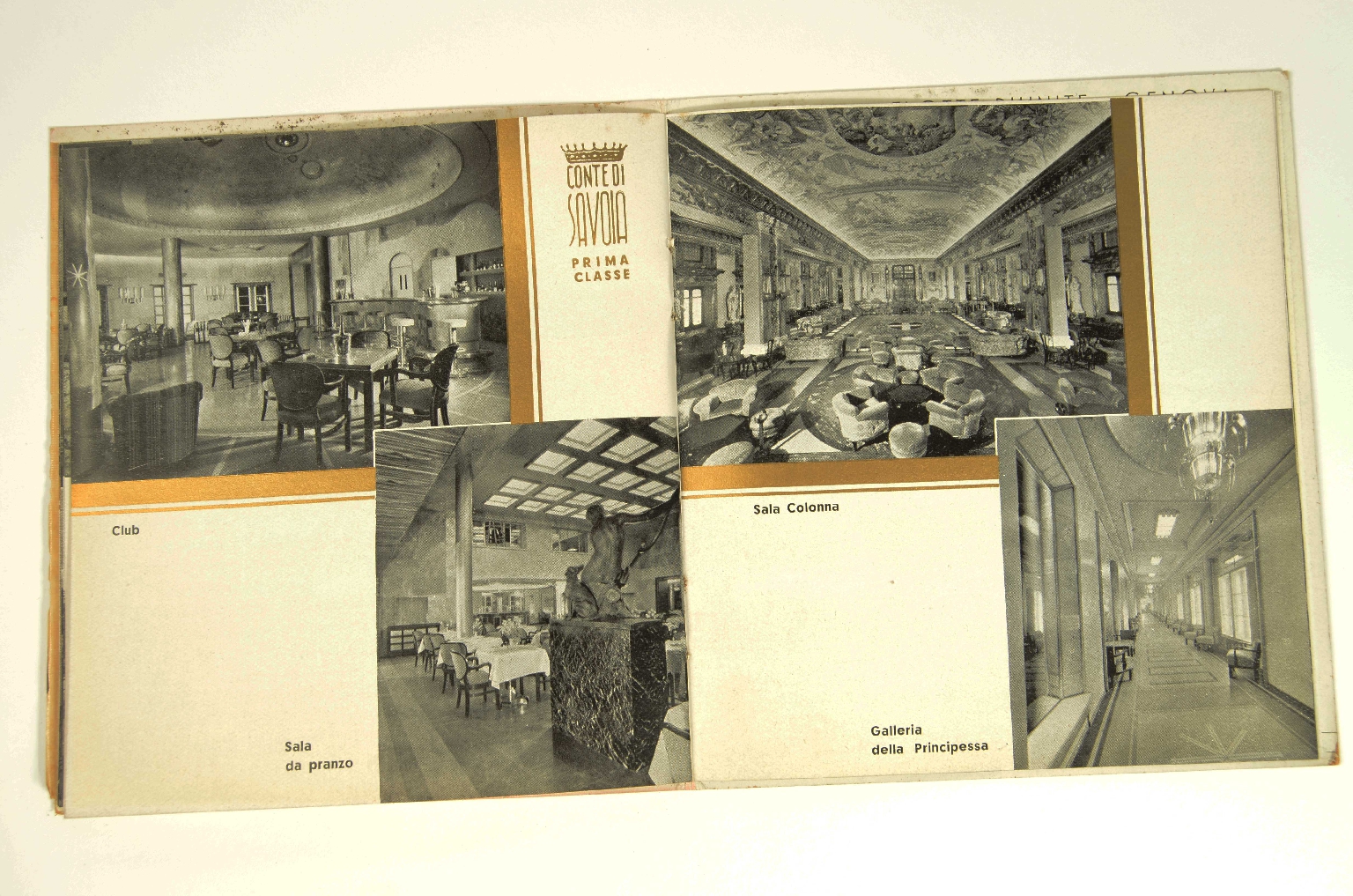 SS REX/R831-Brochure