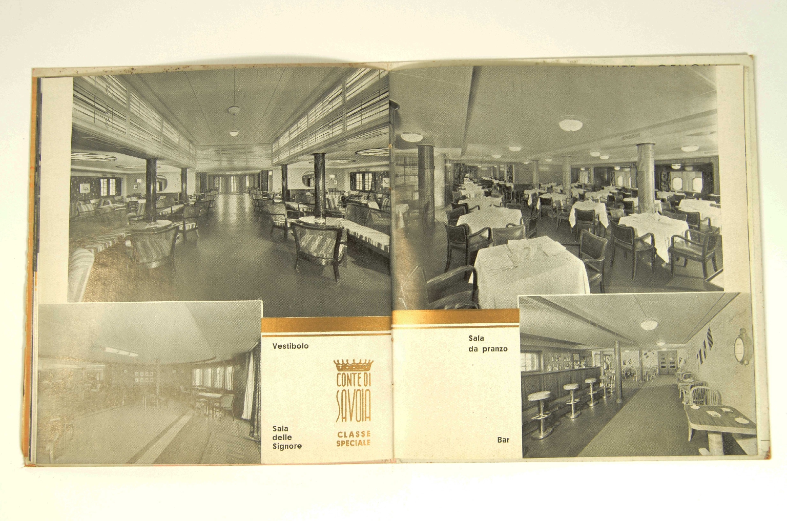 SS REX/R831-Brochure