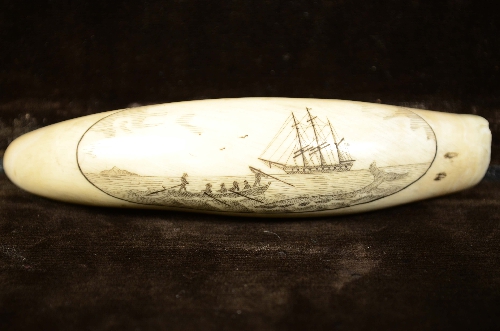 Code 632 Scrimshaw