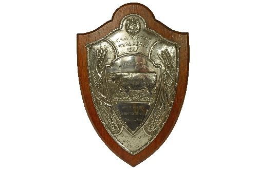 Trophy Shield