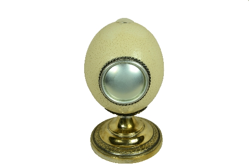 Cod. 7967 Uovo di Struzzo