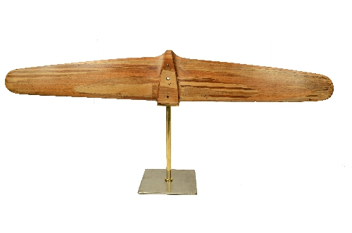Monoplane Wing